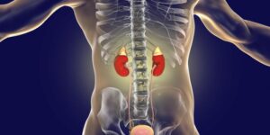 Understanding Creatinine: What It Is, Why It Matters, and How to Manage It