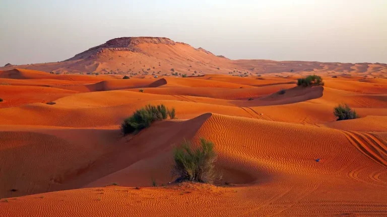 The Largest Desert in the World: An Adventure in the Sands