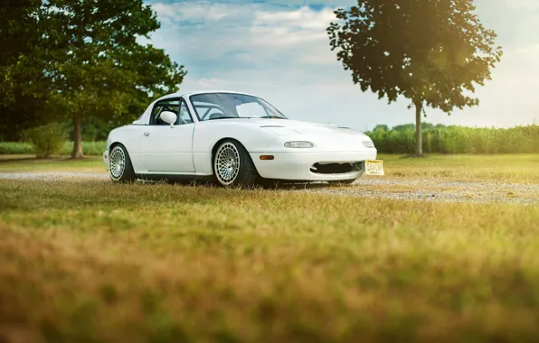 Exploring Blood Mountain in a White Miata: A Fun and Scenic Adventure